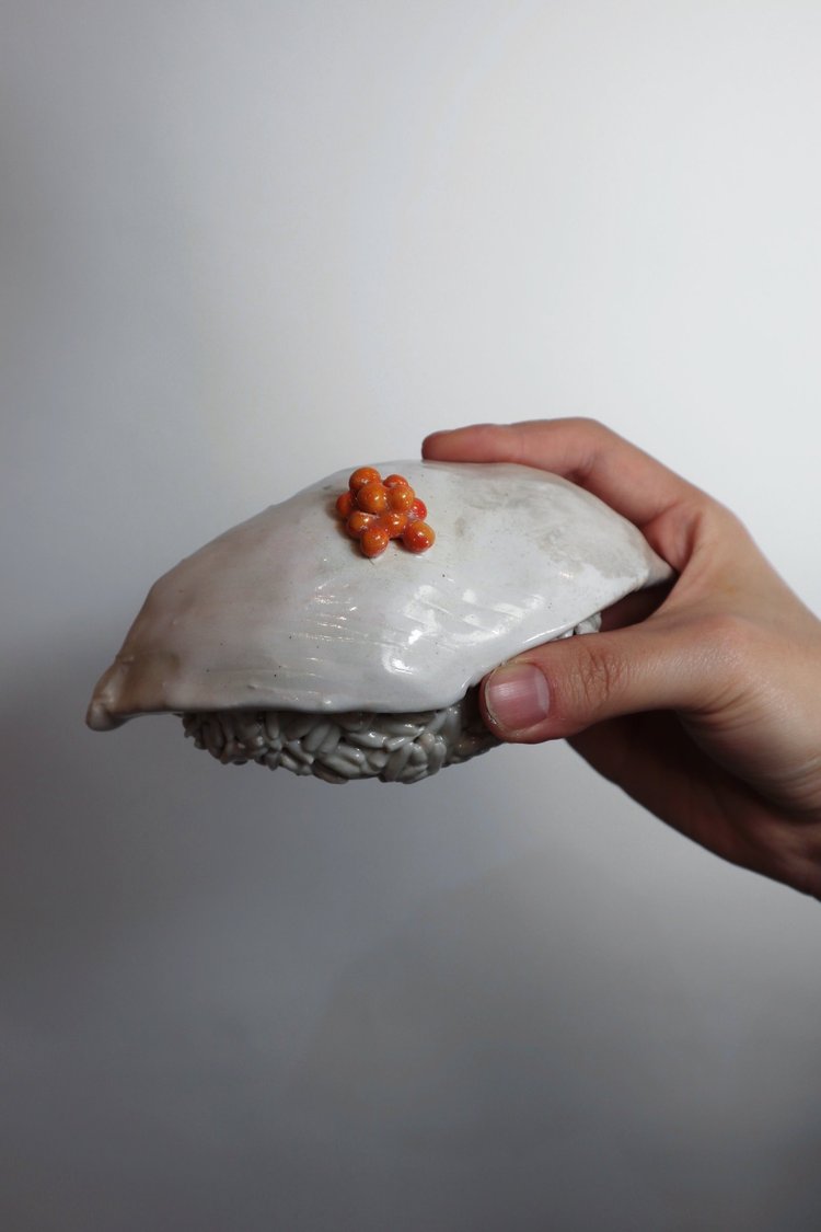 Sushi, porcelain